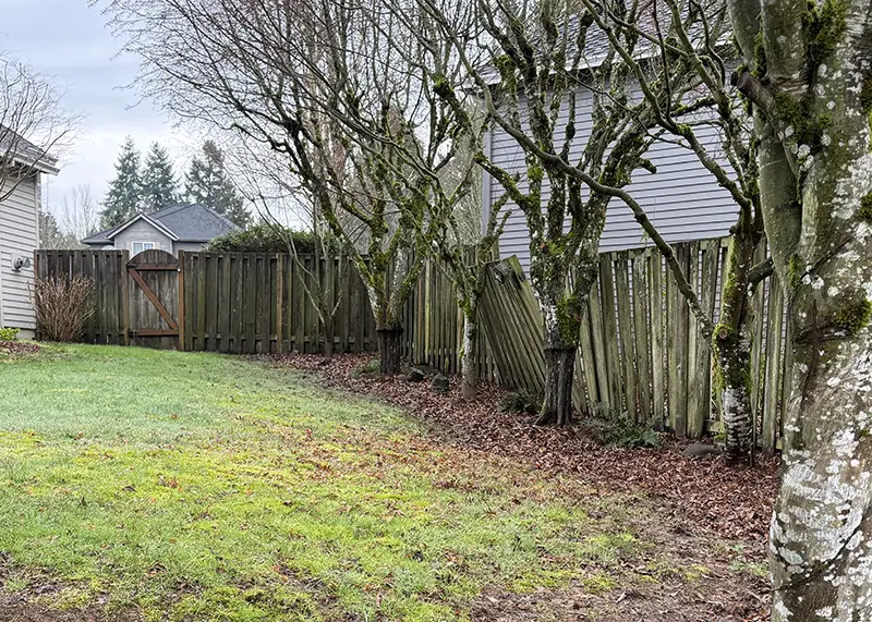 Damaged and fallen wood privacy fence before replacement at a Portland metro residential property.